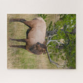 エルクレイクヴィレッジイエローストーン国立公園ワイオミング ジグソーパズル (横)