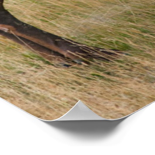 エルクレイクヴィレッジイエローストーン国立公園ワイオミング ポスター (角)