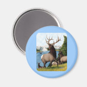 エルクワピティ マグネット (正面/裏面)