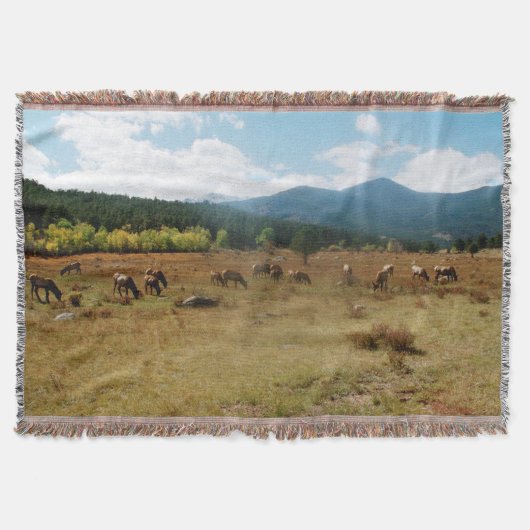 エルク広角投げ毛布 スローブランケット (正面)