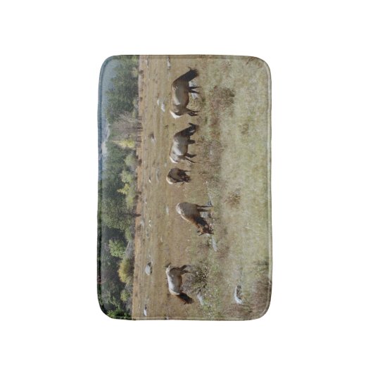 エルク浴場 バスマット (正面縦)