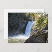 エルク秋、ブルーリッジマウンテンズノースカロライナ ポストカード (正面/裏面)