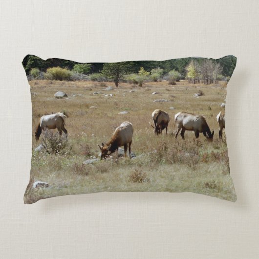 エルク訛りの枕 アクセントクッション (正面)