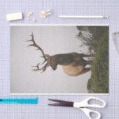 エルク2 薄葉紙 (クラフト)