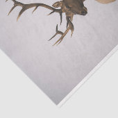 エルク2 薄葉紙 (詳細)