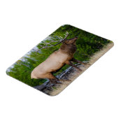 エルク イエローストーン国立公園（ワイオミング州） マグネット (左側)