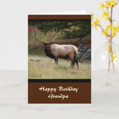 エルク・イン・ザ・ワイルド カード (黄色い花)