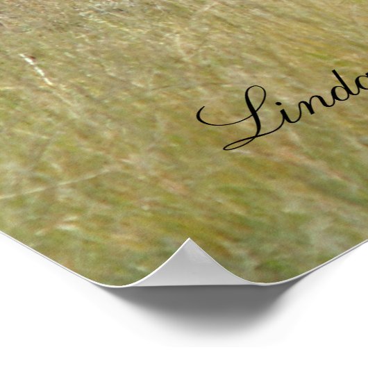 エルク・イン・ザ・ワイルド ポスター (角)