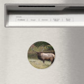 エルク・イン・ザ・ワイルド マグネット (インサイチュ (食洗機))