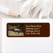 エルク・イン・ザ・ワイルド ラベル (インサイチュ)