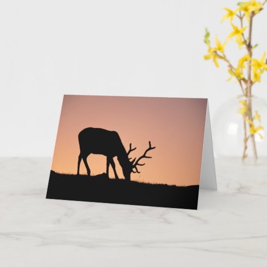 エルク |コロラド州ロッキーマウンテンズ国立公園 カード (黄色い花)