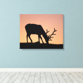 エルク |コロラド州ロッキーマウンテンズ国立公園 キャンバスプリント (インサイチュ (ウッドフロア))