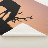 エルク |コロラド州ロッキーマウンテンズ国立公園 シェルパブランケット (3/4)