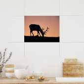 エルク |コロラド州ロッキーマウンテンズ国立公園 ポスター (キッチン)