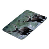 エルク・ヘルド |ベーリング山（ワシントン） マグネット (左側)