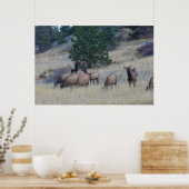 エルク・ヘルド ポスター (キッチン)