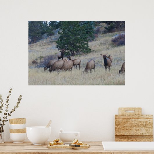 エルク・ヘルド ポスター (キッチン)