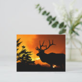 エルク ポストカード (スタンド正面)