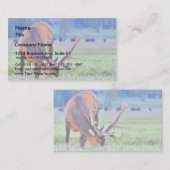 エルク 名刺 (正面/裏面)