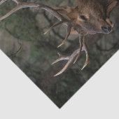 エルク 薄葉紙 (詳細)