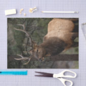 エルク 薄葉紙 (クラフト)