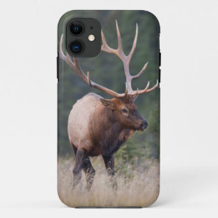 エルク iPhone 11 ケース