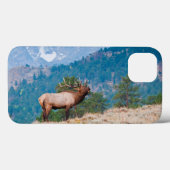 エルク（Cervus Elephus）雄のラブコール Case-Mate iPhoneケース (裏面 (横))
