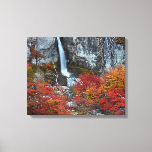 エルコリリョ滝 |パタゴニア，アルゼンチン キャンバスプリント (正面)