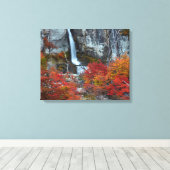 エルコリリョ滝 |パタゴニア，アルゼンチン キャンバスプリント (インサイチュ (ウッドフロア))