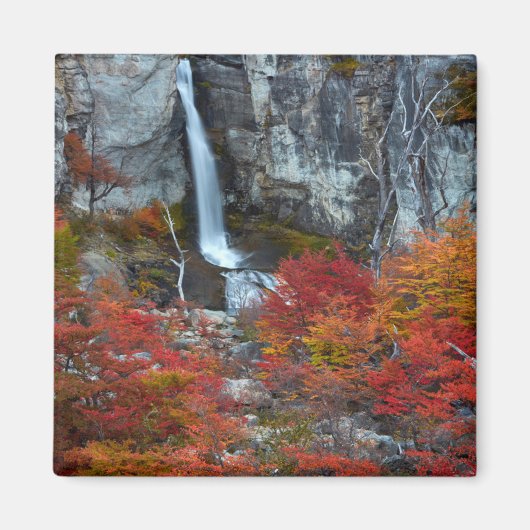 エルコリリョ滝 |パタゴニア，アルゼンチン マグネット (正面)