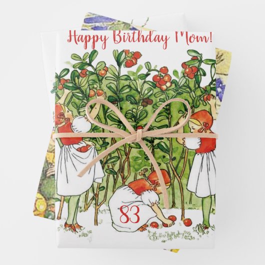 エルサベスコウかわいいストロベリーガール ラッピングペーパーシート (インサイチュ)