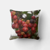 エルサルバドルのコーヒー豆 クッション (裏面)