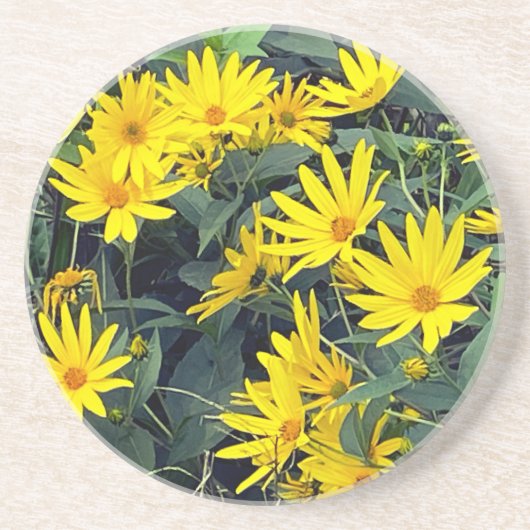 エルサレムのアーティチョーク花サンドストーンコースター コースター (正面)