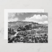 エルサレムのオリーブとガーデン・ゲッセマネの山 ポストカード (正面/裏面)