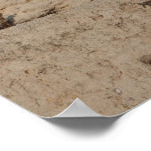 エルサレム西壁 ポスター (角)