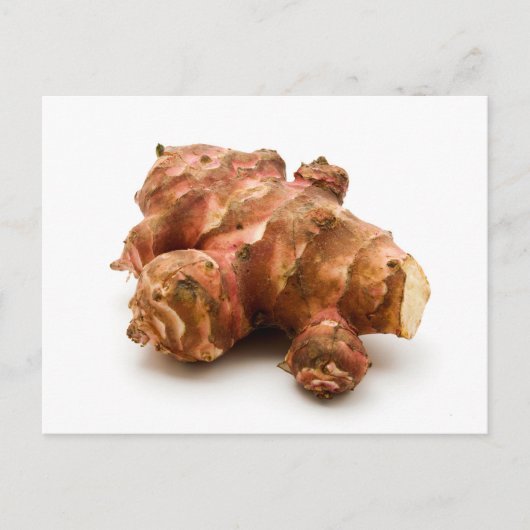 エルサレム・アーティチョーク ポストカード (正面)