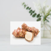 エルサレム・アーティチョーク ポストカード (スタンド正面)