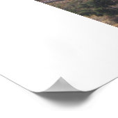 エルサレム ポスター (角)