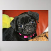 エルサ – プリント (正面)