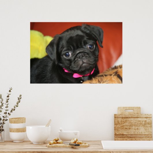 エルサ – プリント (キッチン)