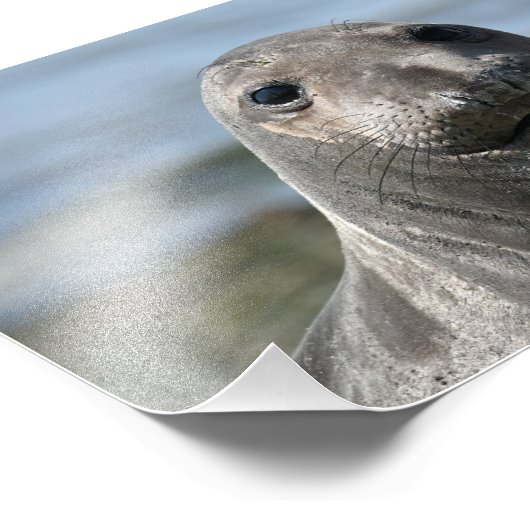 エルシエメアナコルテス フォトプリント (角)