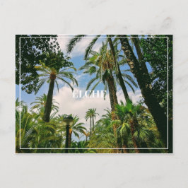 エルシュはがき ポストカード