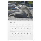 エルシー・メーカレンダー カレンダー (3月 2027)