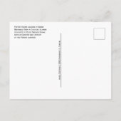 エルジー・クリスラー・シーガーのポパイ像 ポストカード (裏面)