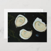 エルスターズ ポストカード (正面/裏面)