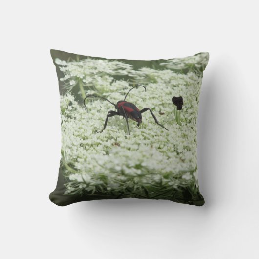エルダーフラワーの昆虫 クッション (正面)