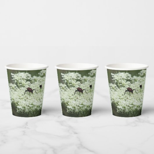 エルダーフラワーの昆虫 紙コップ (複数)