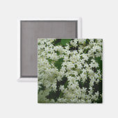 エルダーベリー花咲きマグネット マグネット (正面/裏面)