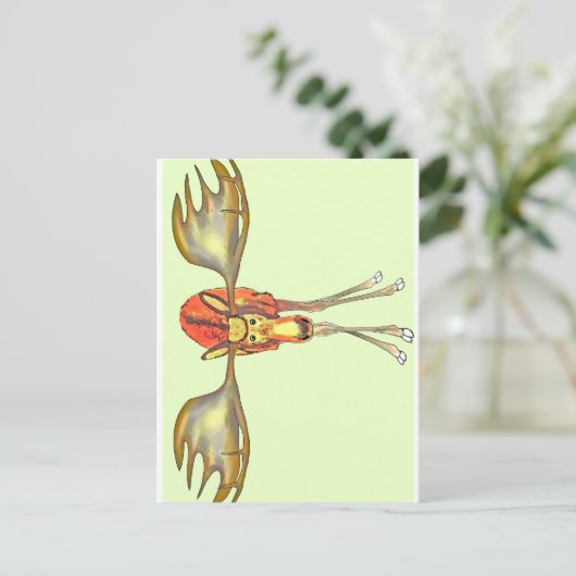 エルチ ポストカード (スタンド正面)