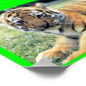 エルティグレ（英語：タイガー） ポスター (角)